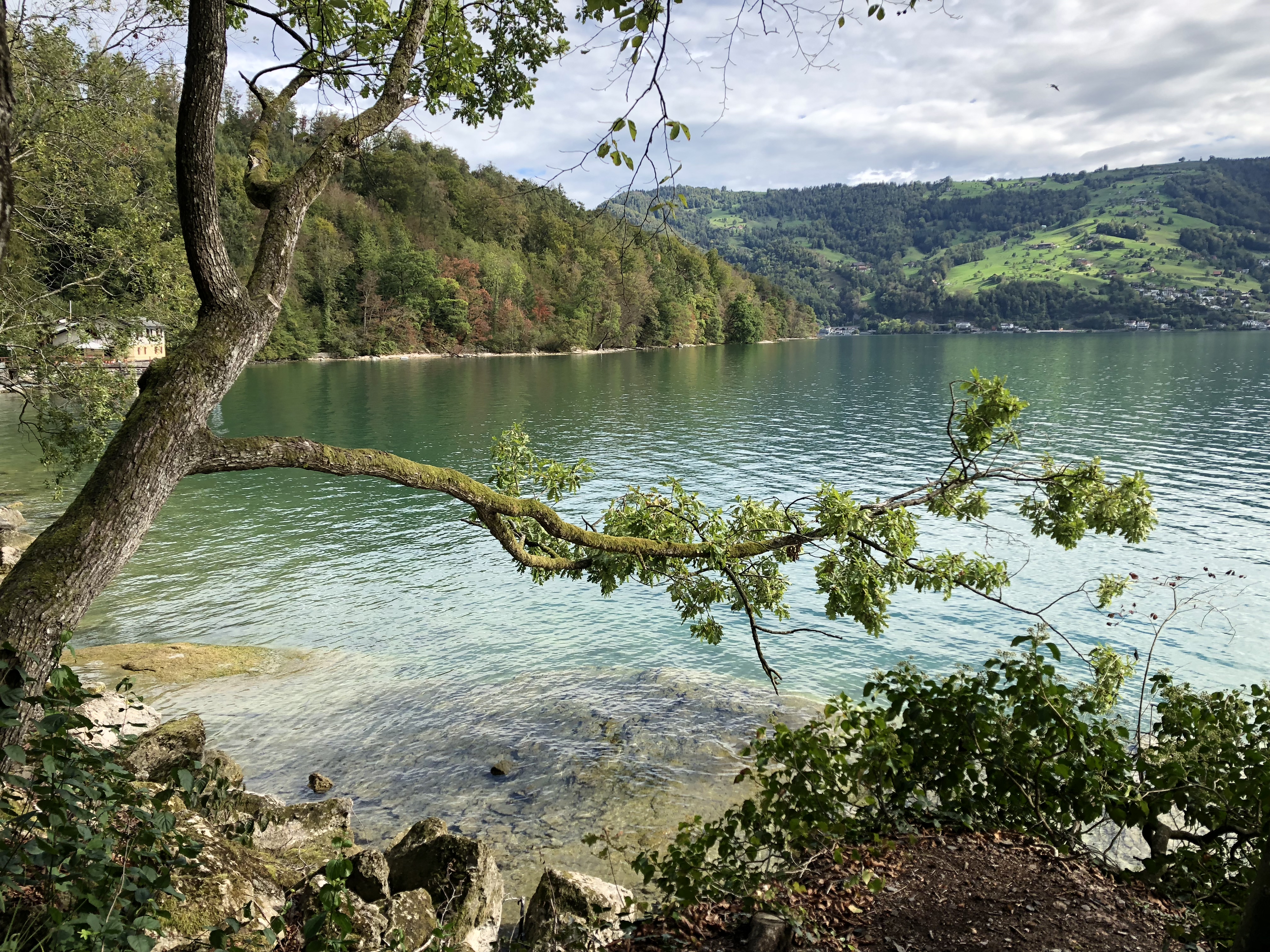 Foto 23.09.18, 11 24 29