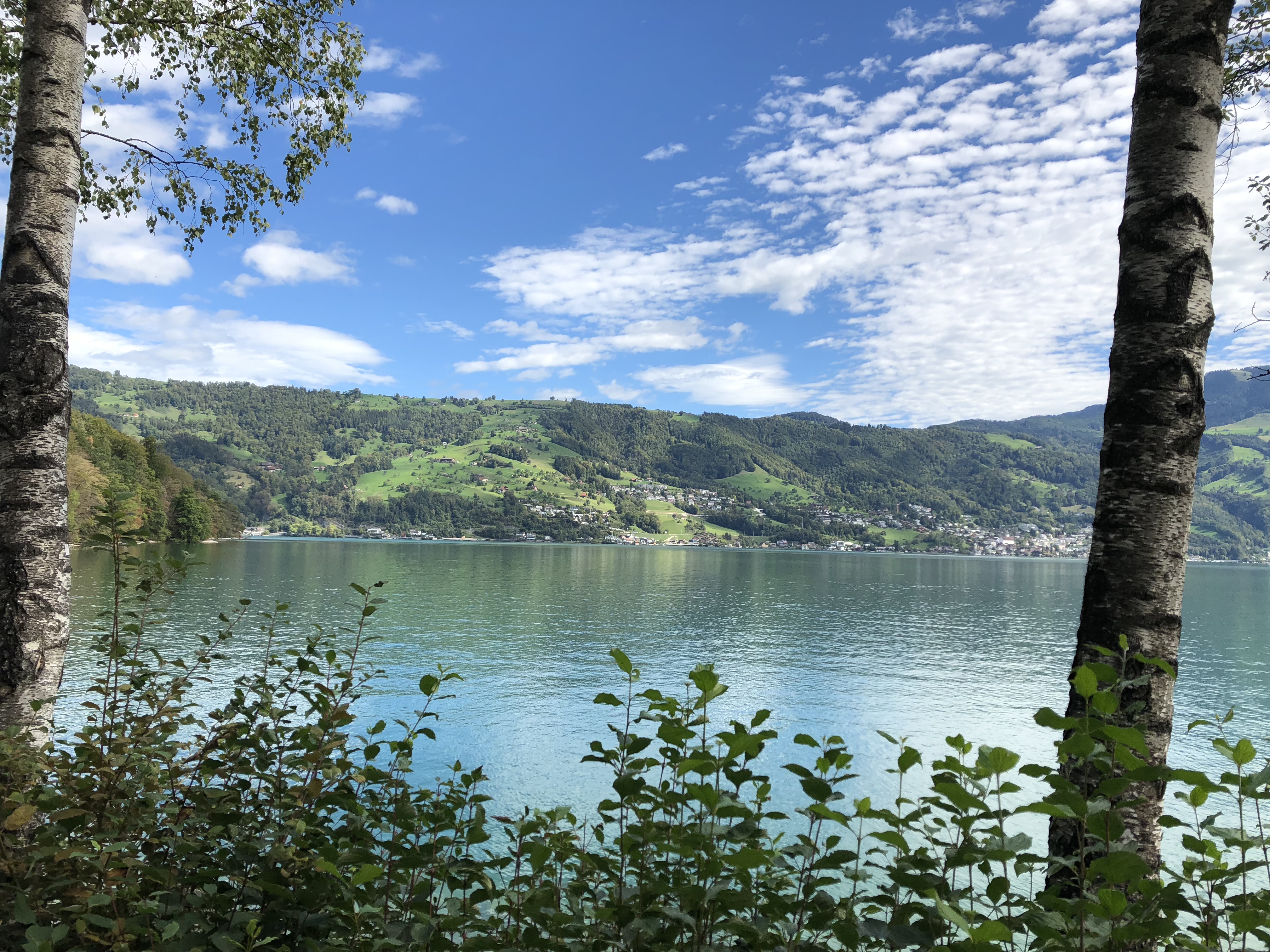 Foto 23.09.18, 13 06 52