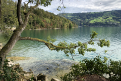 Foto 23.09.18, 11 24 29