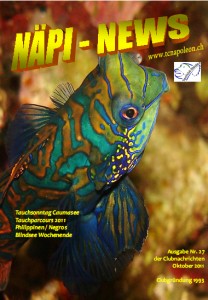 Naepi-News 2011 Titel