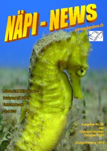 Naepi-News 2009 Titel